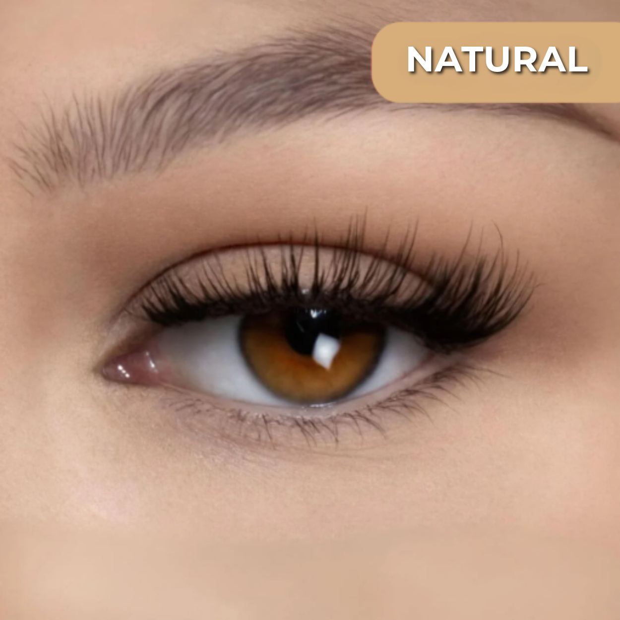 Mangolo™ Magnetic Lashes