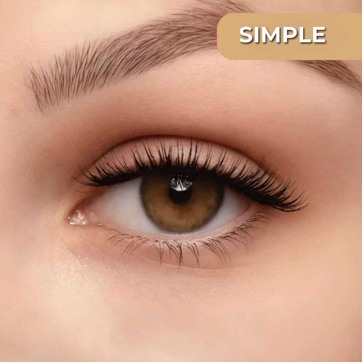 Mangolo™ Magnetic Lashes