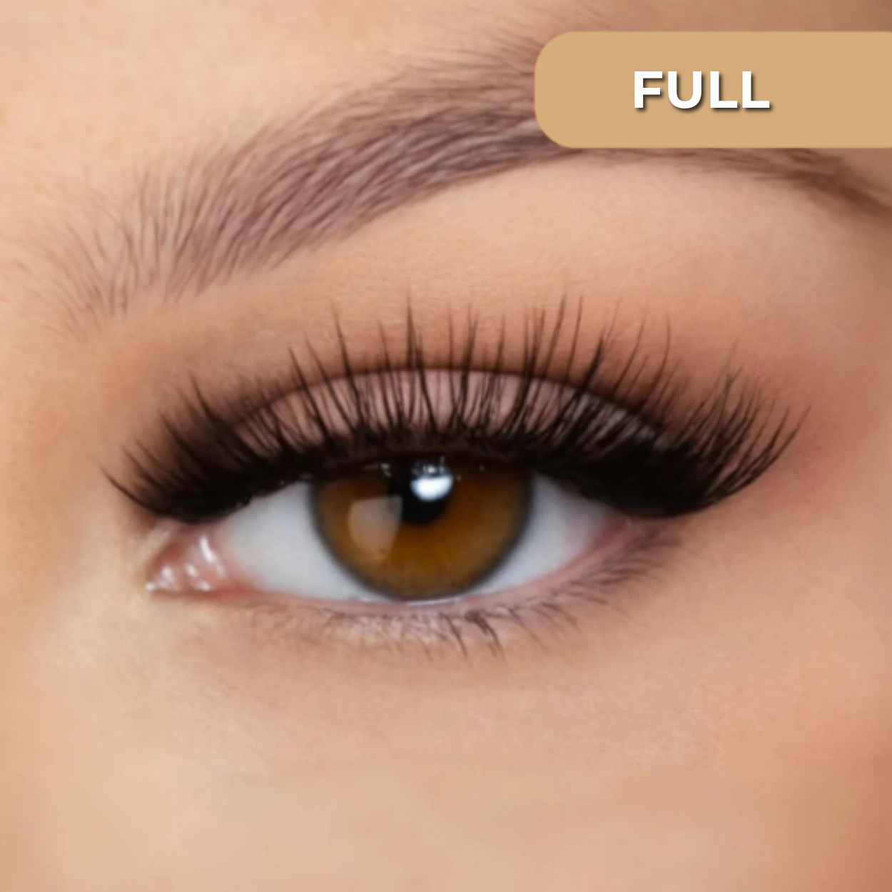 Mangolo™ Magnetic Lashes