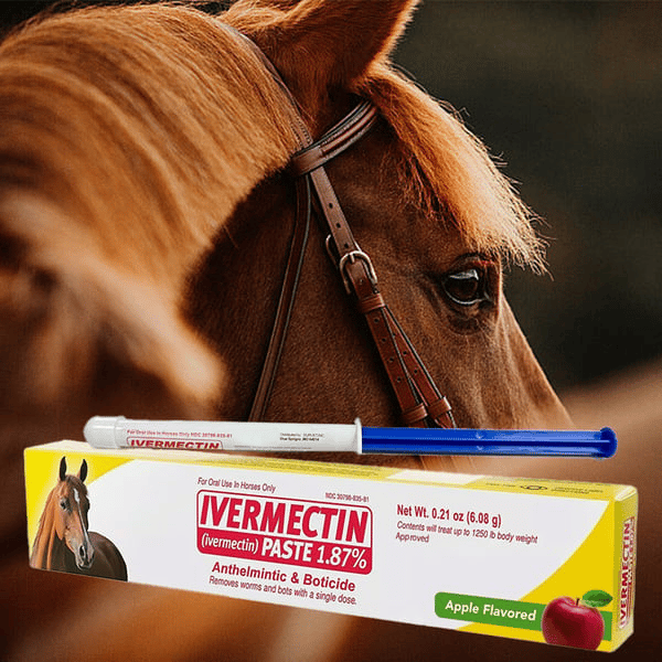 Ivermectin Paste for Horses