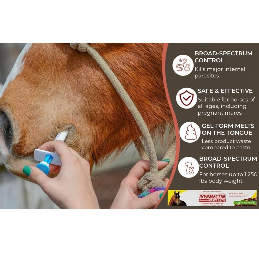 Ivermectin Paste for Horses