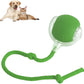 Interactive Toy