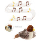 Interactive Cat Toy