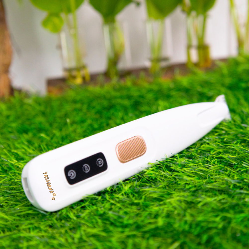 Professional Pet Trimmer