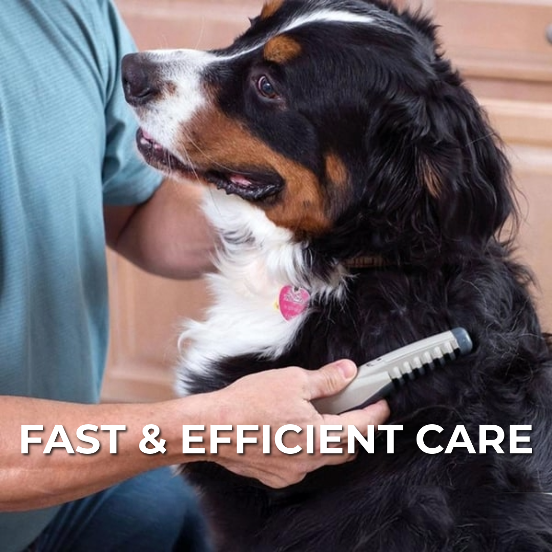 Electric Pet Comb