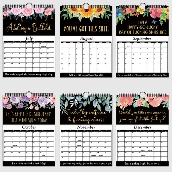 2025 Funny Calendar